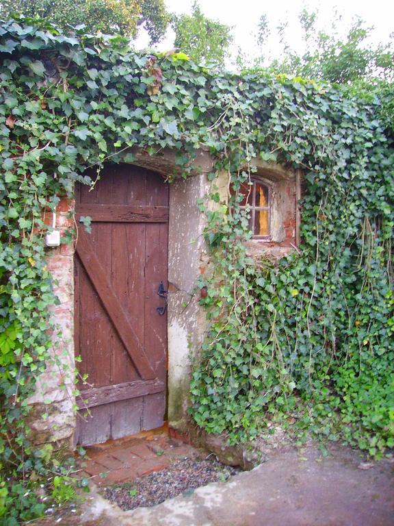 Zakatek Pod Grusza Villa Bedzino Luaran gambar