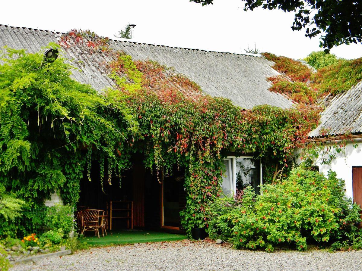Zakatek Pod Grusza Villa Bedzino Luaran gambar
